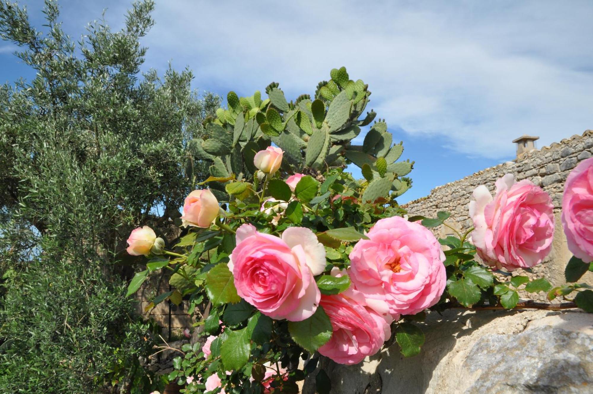 Tenuta Cammarana Guest House Donnafugata Exterior photo